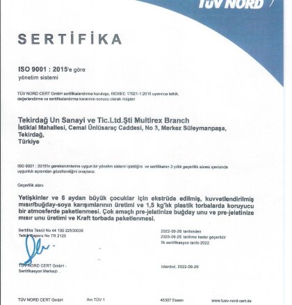 ISO 9001